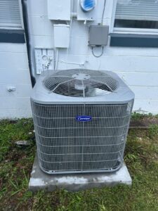 WhatsApp Image 2025-12-26 at 4.41.48 PM