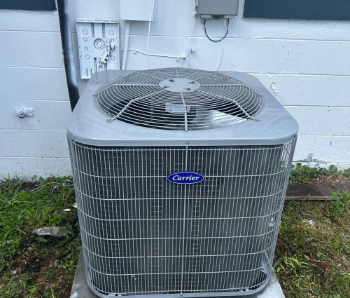 WhatsApp Image 2025-12-26 at 4.41.48 PM